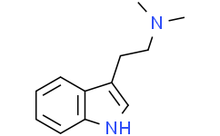 N,N-Dimethyltryptamine 61-50-7